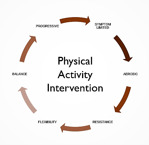 Physical Activity Intervention